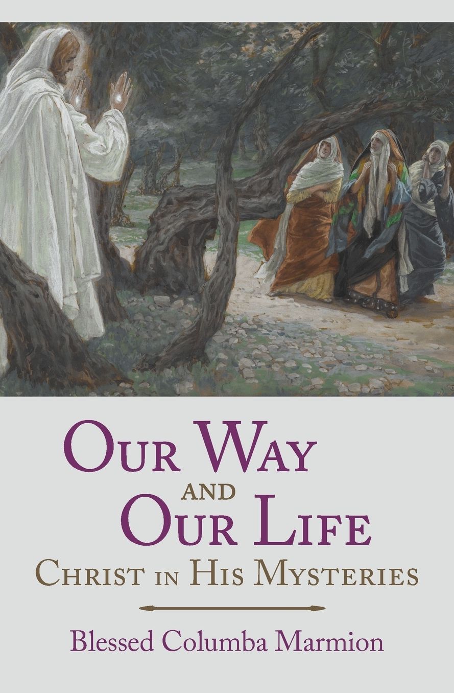 Our Way and Our Life: Christ in His Mysteries