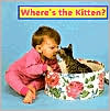 Where's the Kitten?