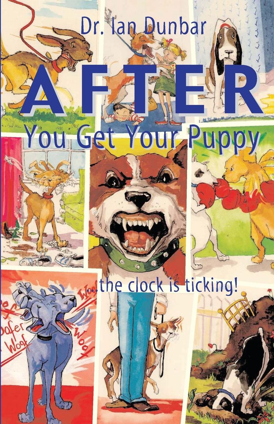 After You Get Your Puppy