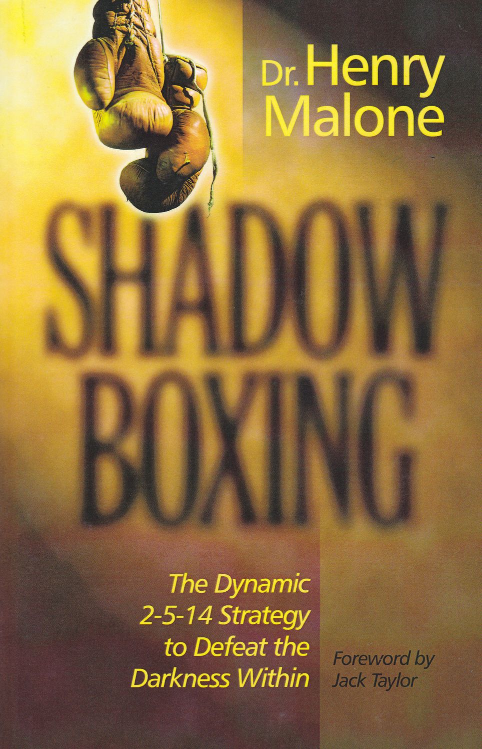 Shadow Boxing: The Dynamic 2514 Strategy to Defeat the Darkness Within