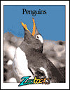 Penguins (Zoobooks Series)