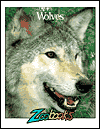 Wolves (Zoobooks Series)