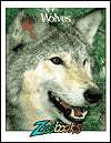 Wolves (Zoobooks Series)