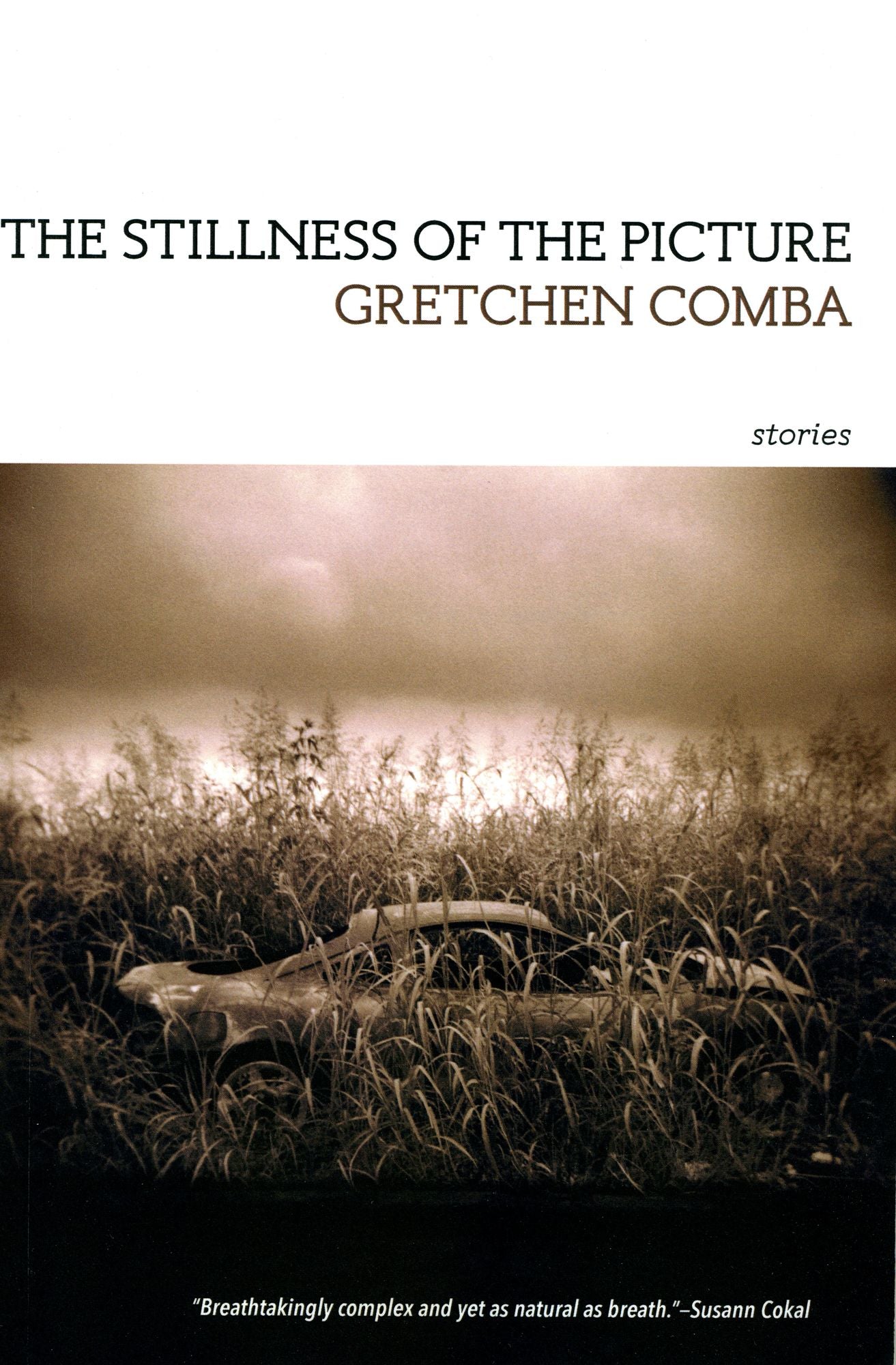 The Stillness of the Picture