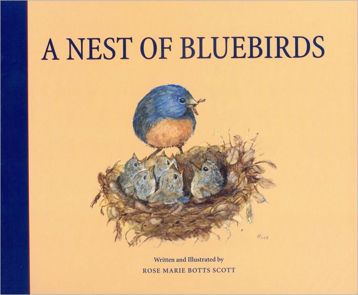 A Nest of Bluebirds