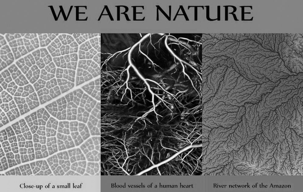 Modern Esoteric: Beyond Our Senses