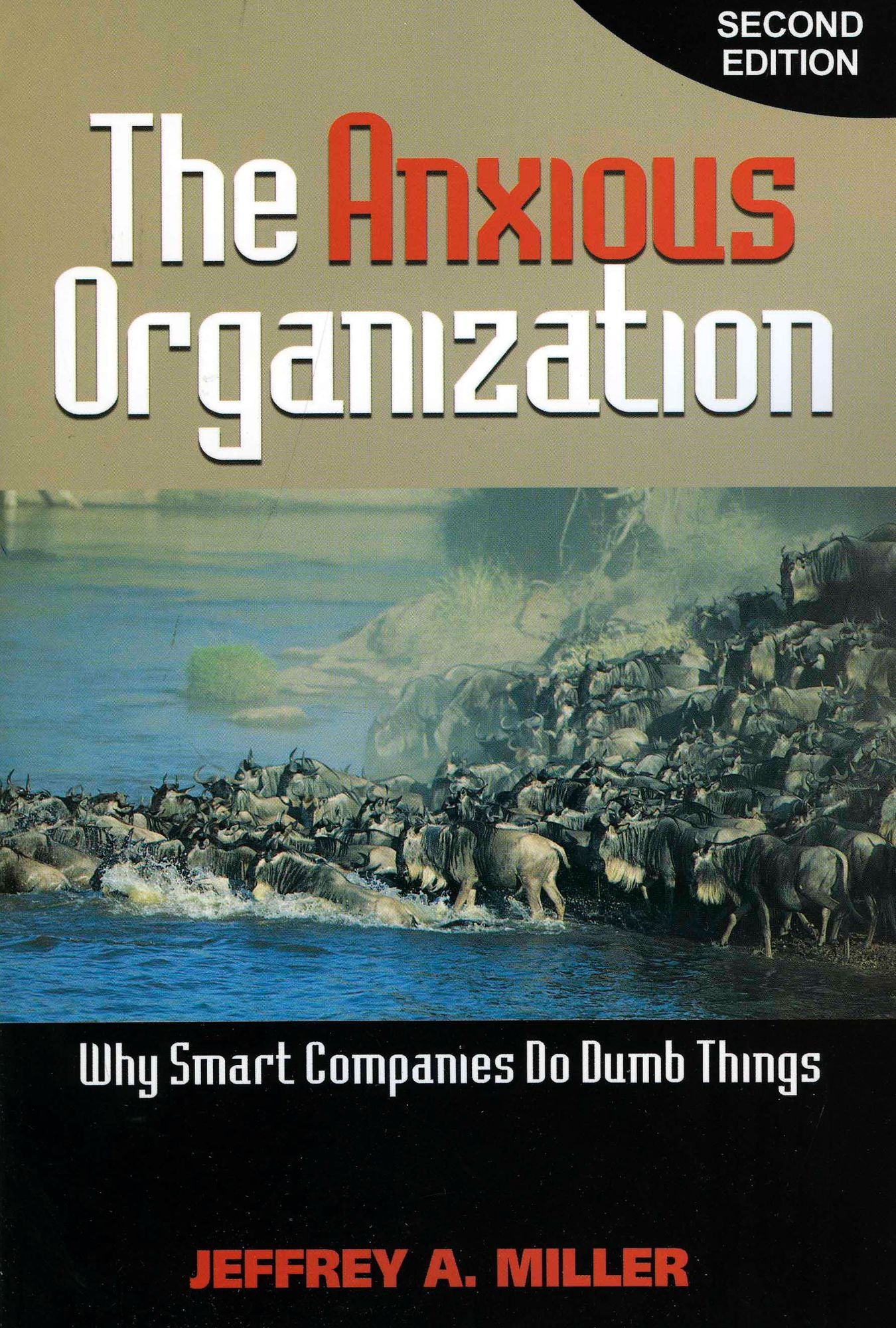 Anxious Organization: Why Smart Companies Do Dumb Things, 2nd Edition