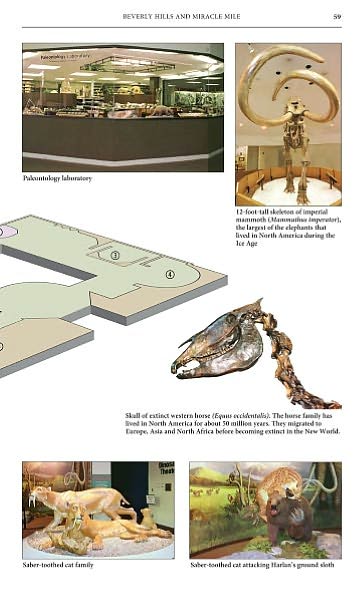 Museum Companion to Los Angeles