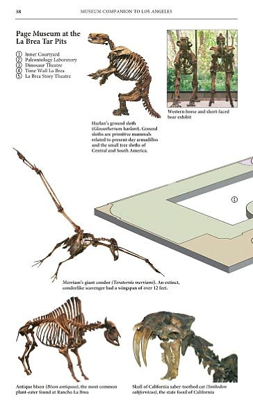 Museum Companion to Los Angeles