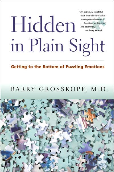 Hidden in Plain Sight : Getting to the Bottom of Puzzling Emotions