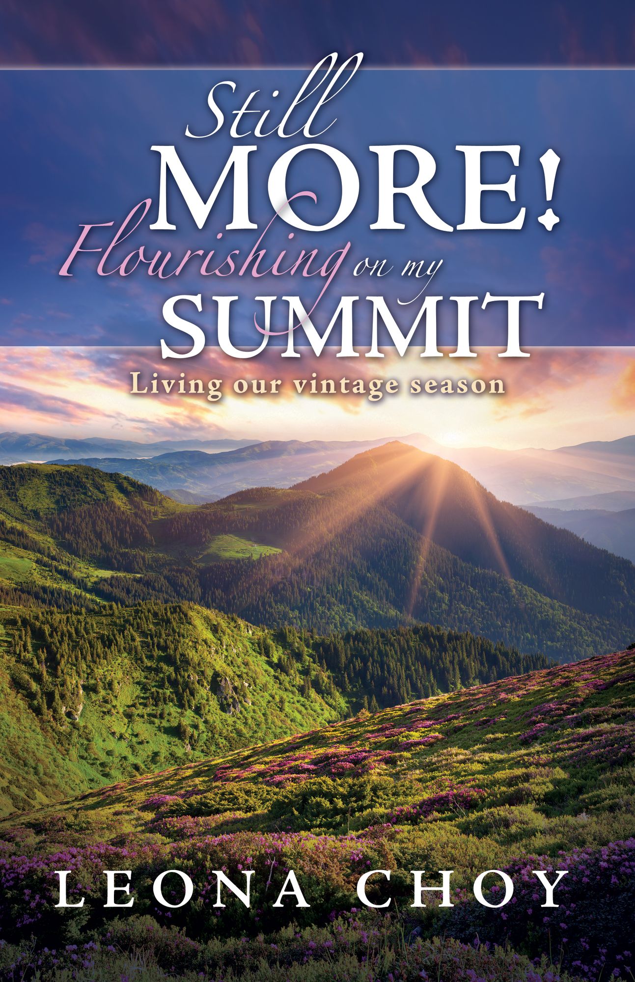 Still More! Flourishing on my Summit: Living Our Vintage Season