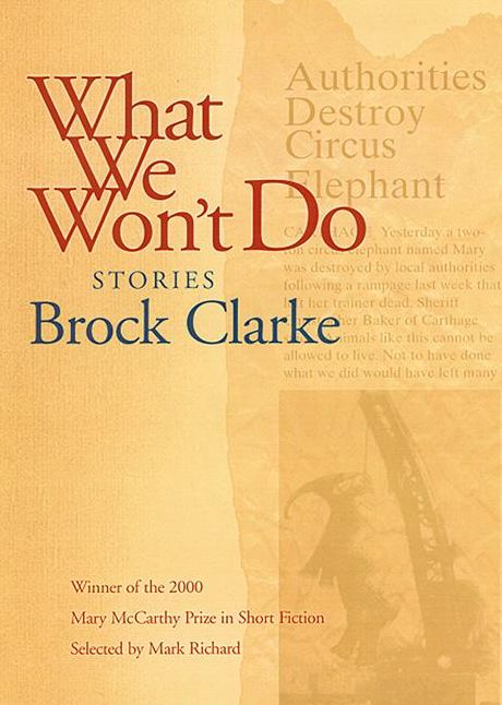 What We Won't Do: Stories