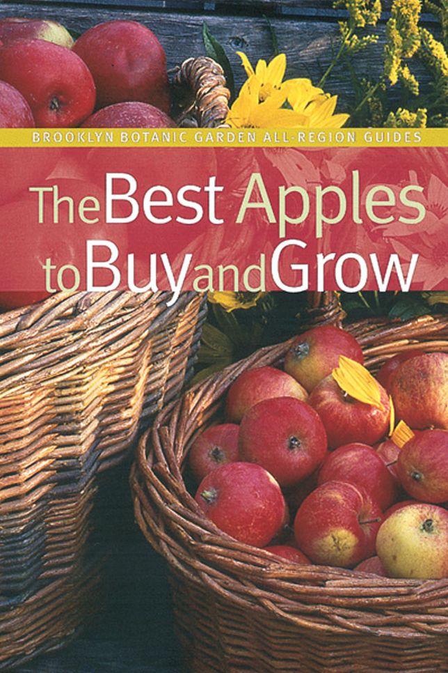 Best Apples to Buy and Grow