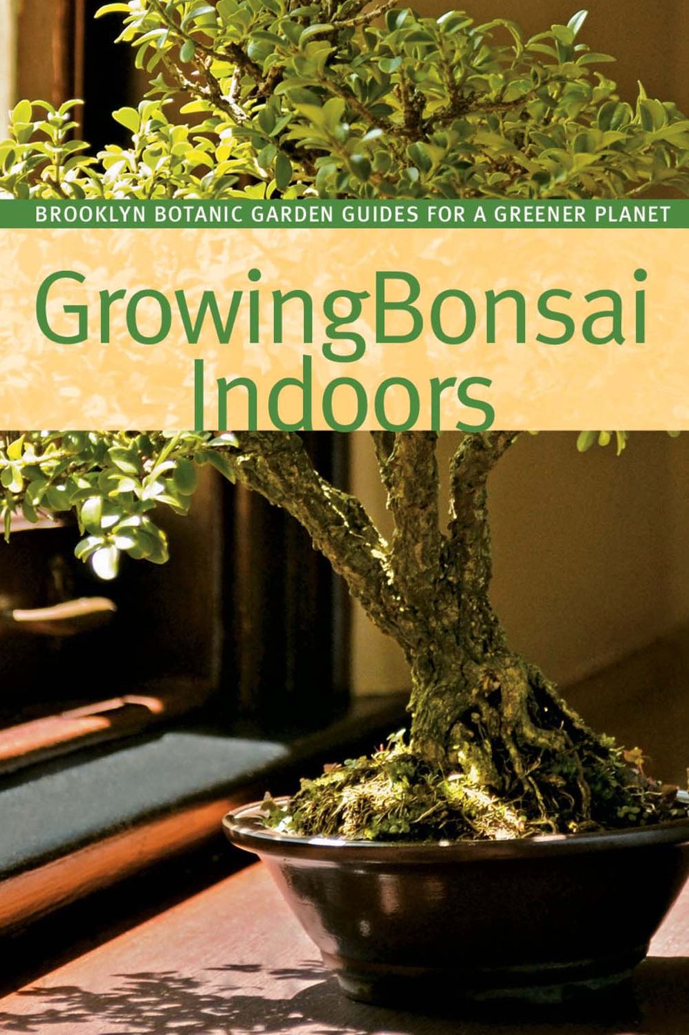 Growing Bonsai Indoors