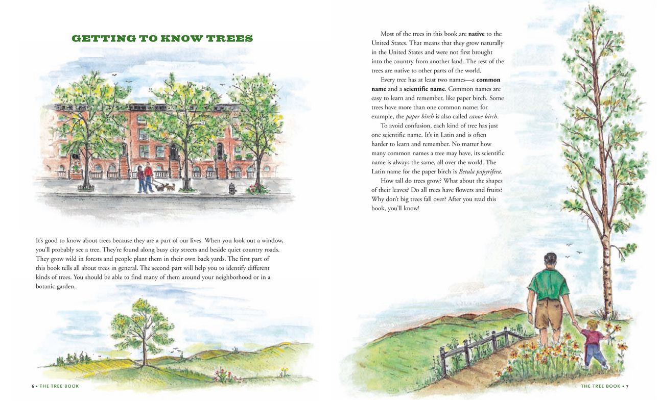 Tree Bk for Kids & Grown Ups