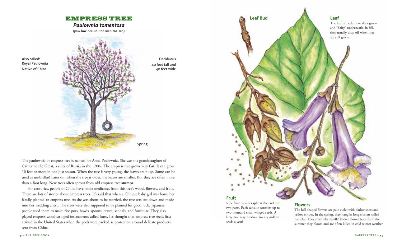 Tree Bk for Kids & Grown Ups