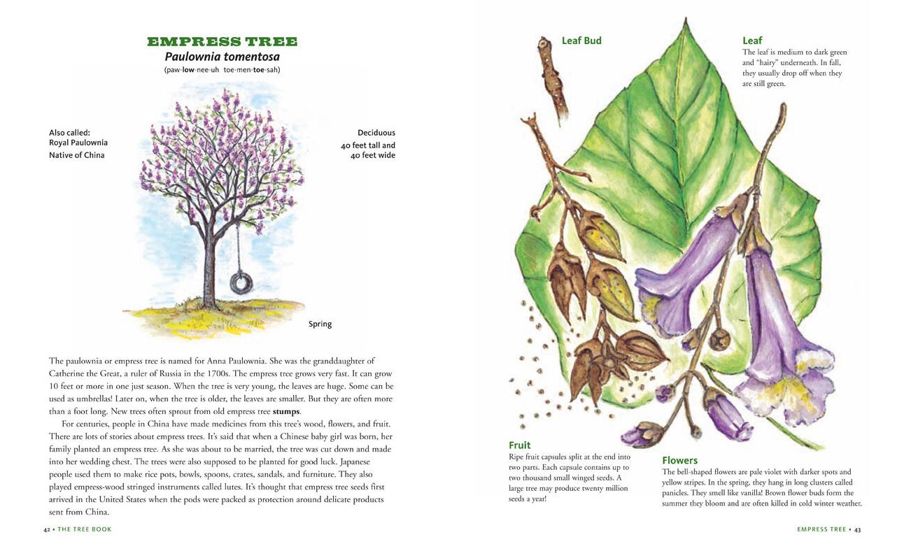 Tree Bk for Kids & Grown Ups