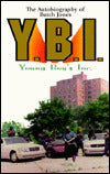 Young Boys INC