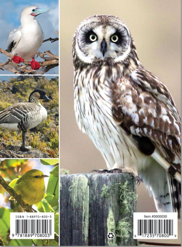 Hawaii's Birds
