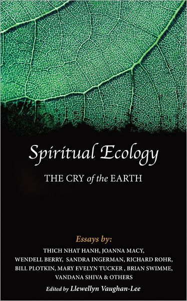 Spiritual Ecology: The Cry of the Earth