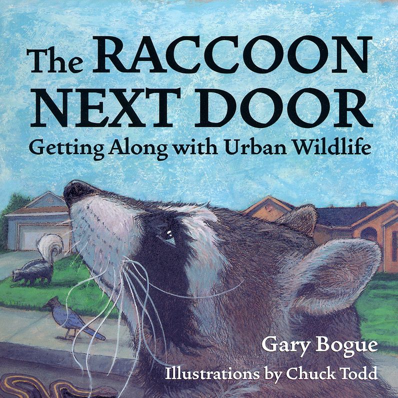 Raccoon Next Door: And Other Creatures of the Urban Wilderness