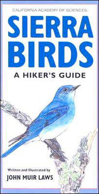 Sierra Birds: A Hiker's Guide
