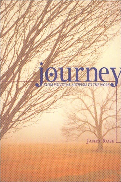 Journey: From Political Activism to the Work