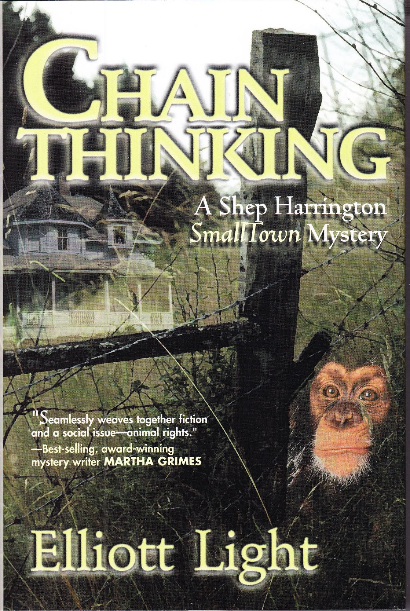 Chain Thinking: A Shep Harrington Smalltown Mystery