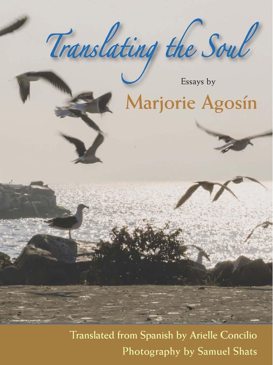 TRANSLATING THE SOUL: Essays