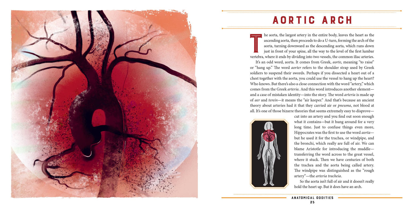 Anatomical Oddities: The Otherworldly Realms Hidden within Our Bodies