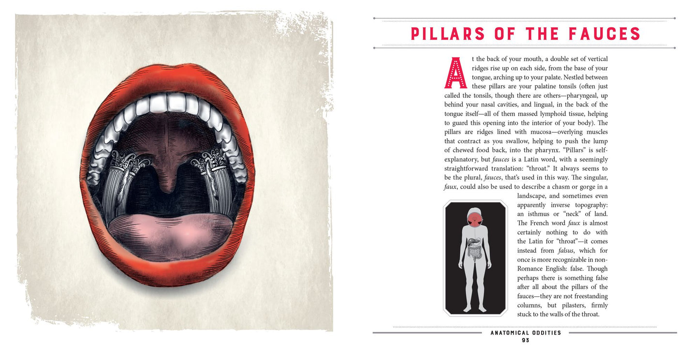 Anatomical Oddities: The Otherworldly Realms Hidden within Our Bodies
