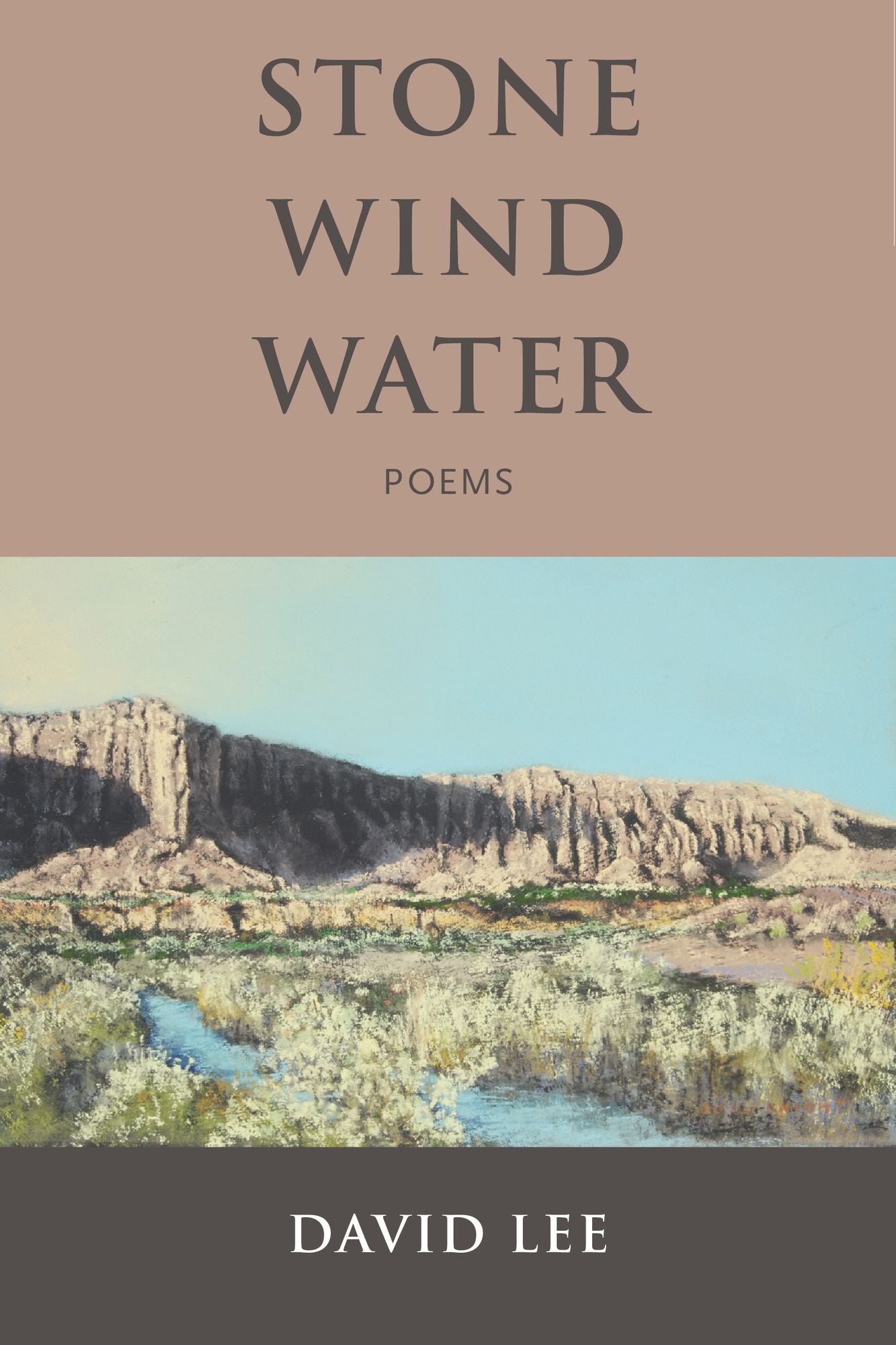 Stone Wind Water: Poems