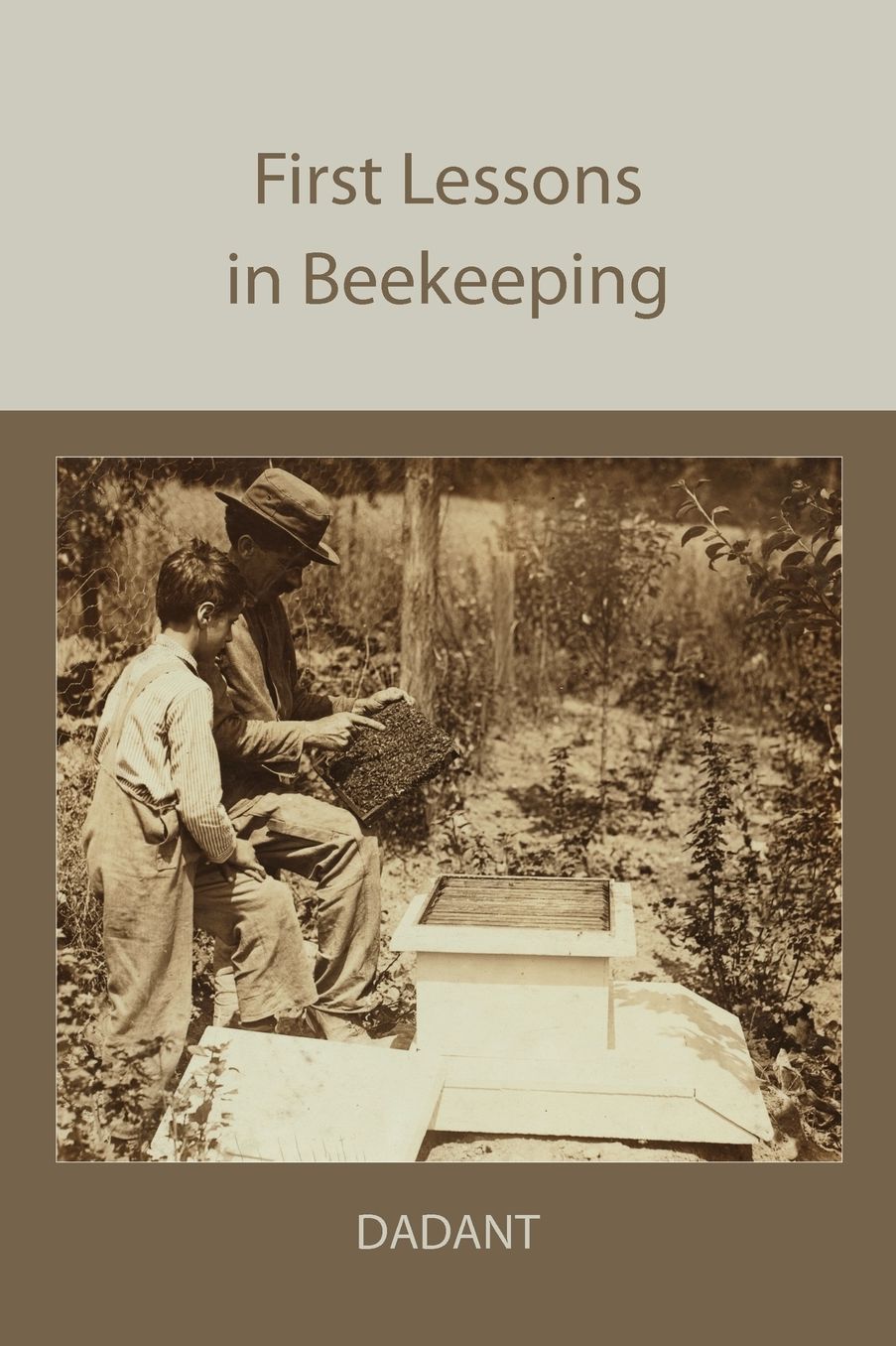 First Lessons In Beekeeping