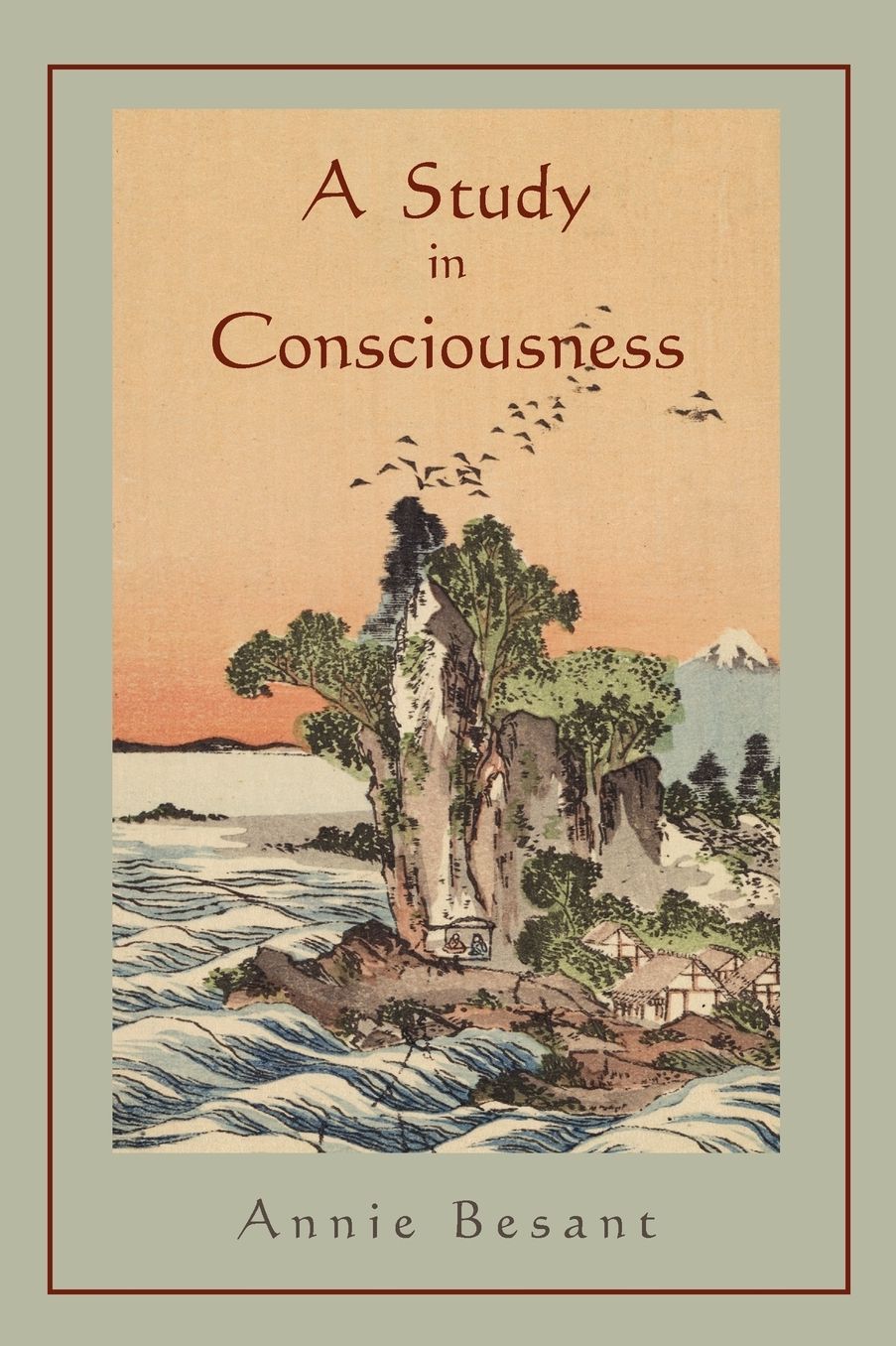 A Study Of Consciouness
