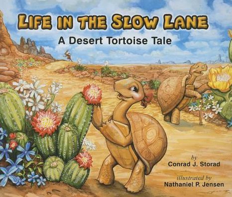 Life in the Slow Lane: A Desert Tortoise Tale