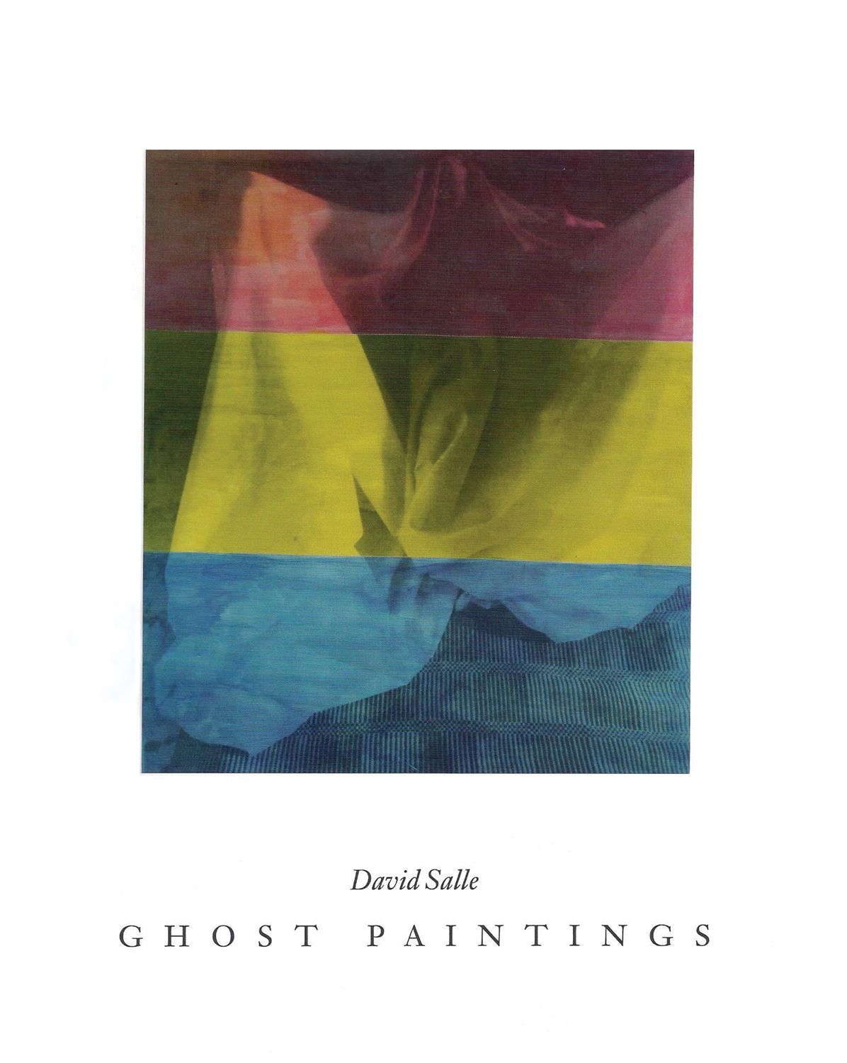David Salle : Ghost Paintings