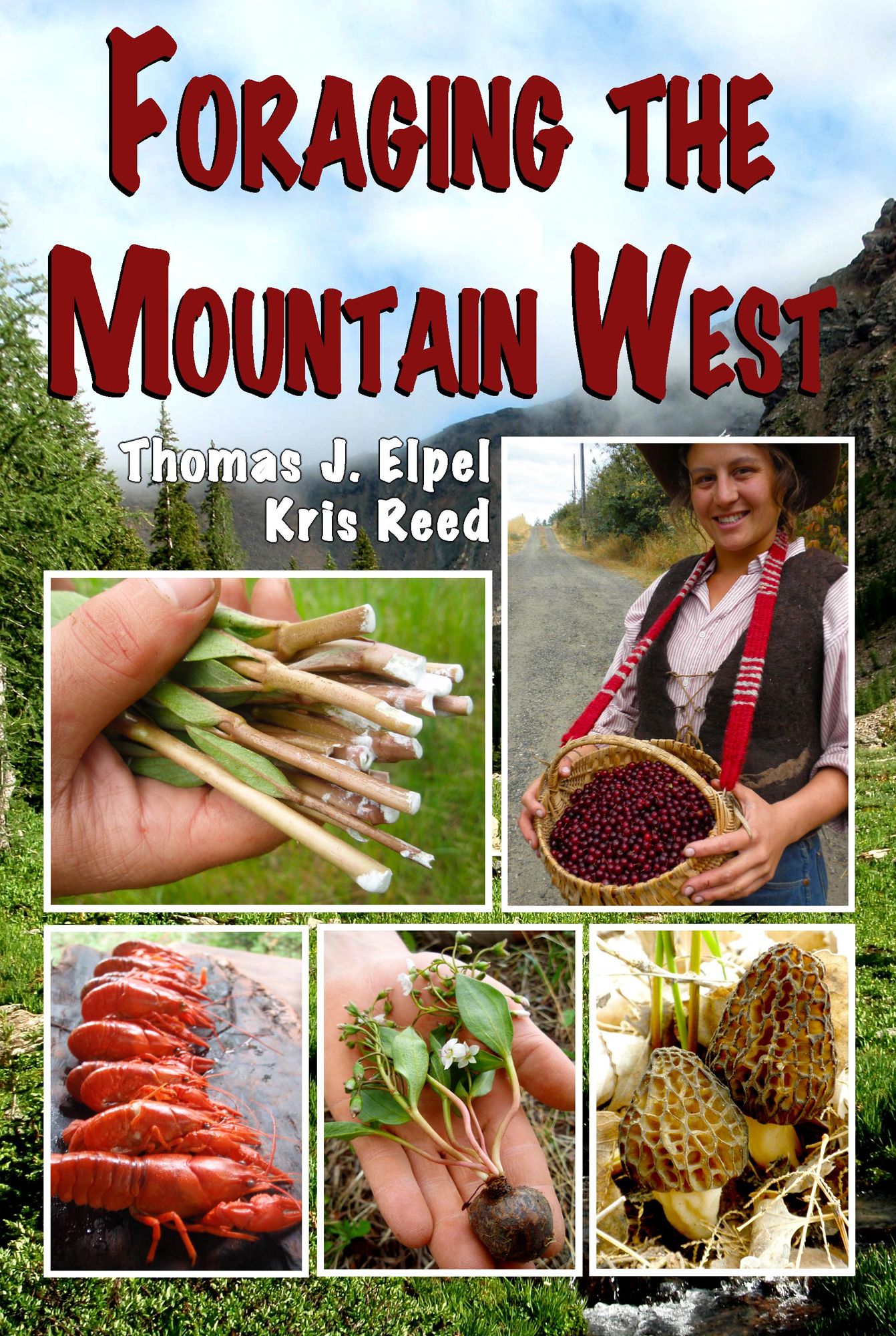 Foraging the Mountain West