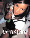 Twinkland: A Kids World
