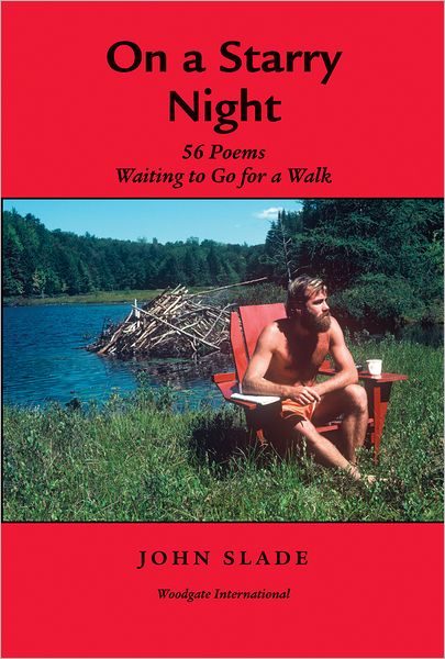 On a Starry Night: 56 Poems Waiting to Go for a Walk