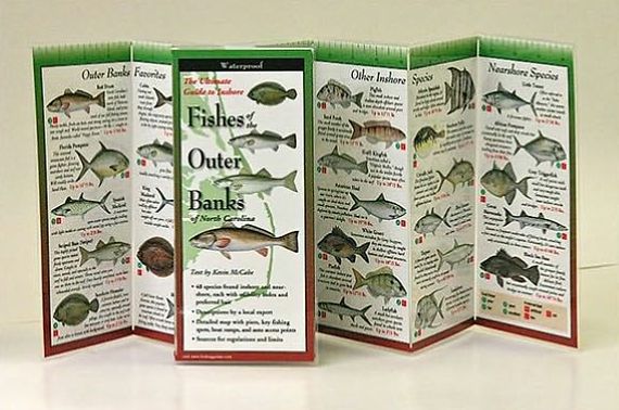 Fishes of the Outer Banks of North Carolina