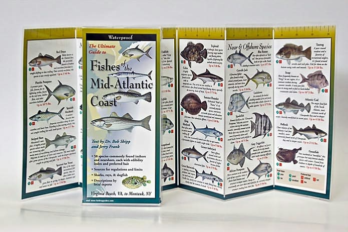 Fishes of the Mid-Atlantic Coast