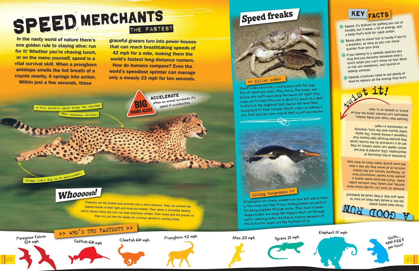 Wild Animals