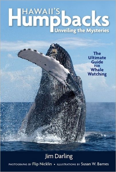 Hawaii's Humpbacks: Unveiling the Mysteries