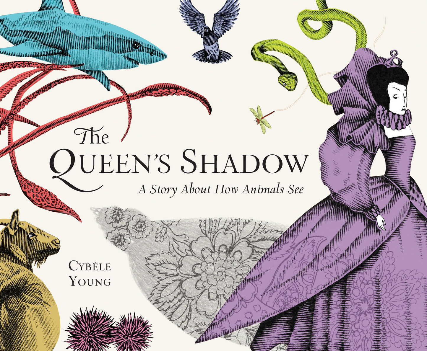 The Queen's Shadow: A Story About How Animals See