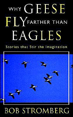 Why Geese Fly Farther Than Eagles: Stories That Stir the Imagination