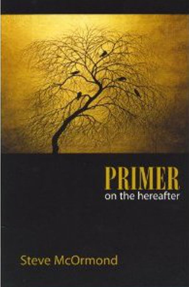 Primer on the Hereafter