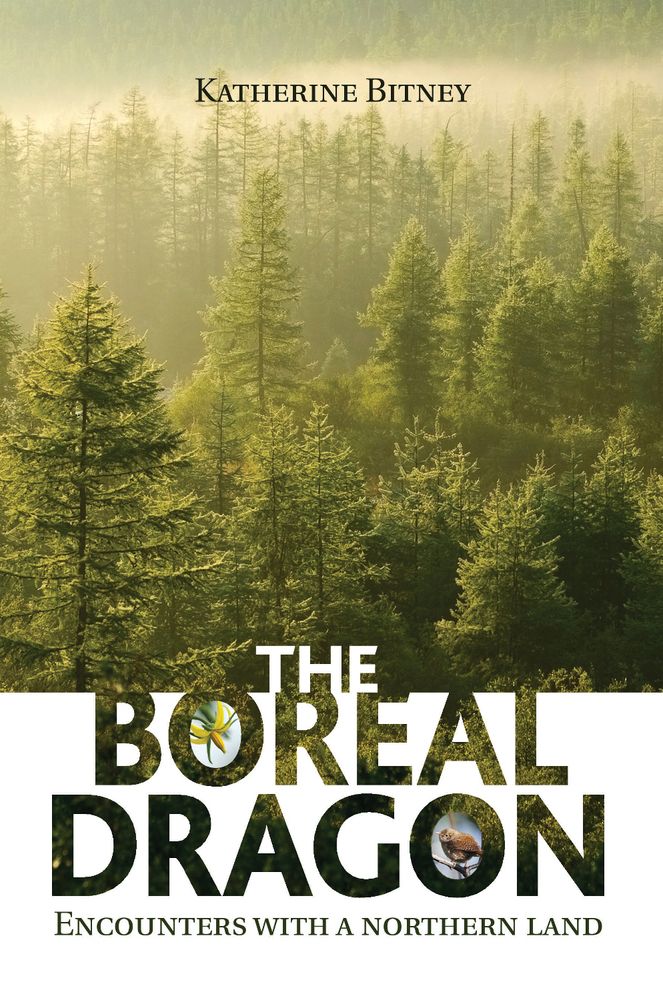The Boreal Dragon: Encounters with a Northern Land