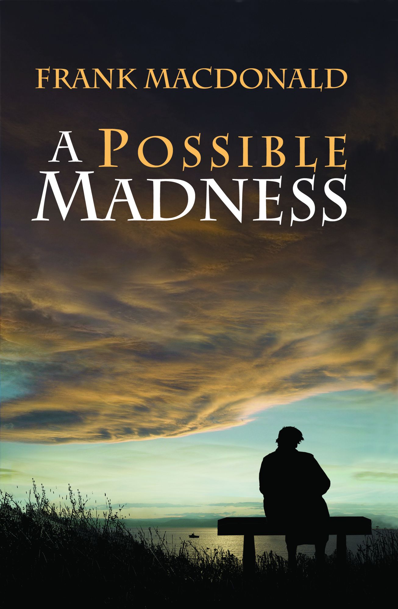 A Possible Madness: A Novel