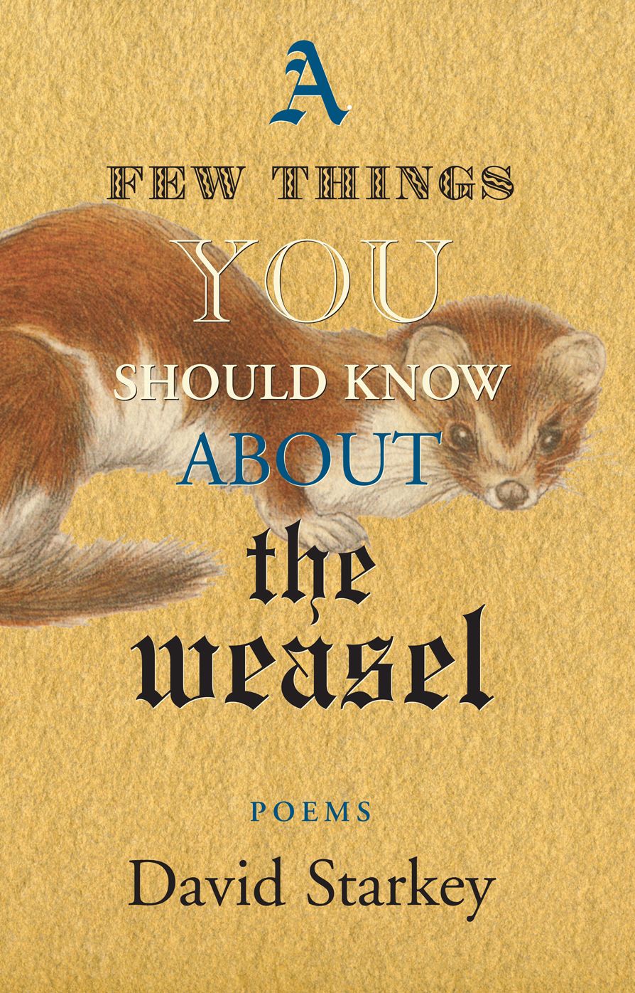 A Few Things You Should Know About the Weasel