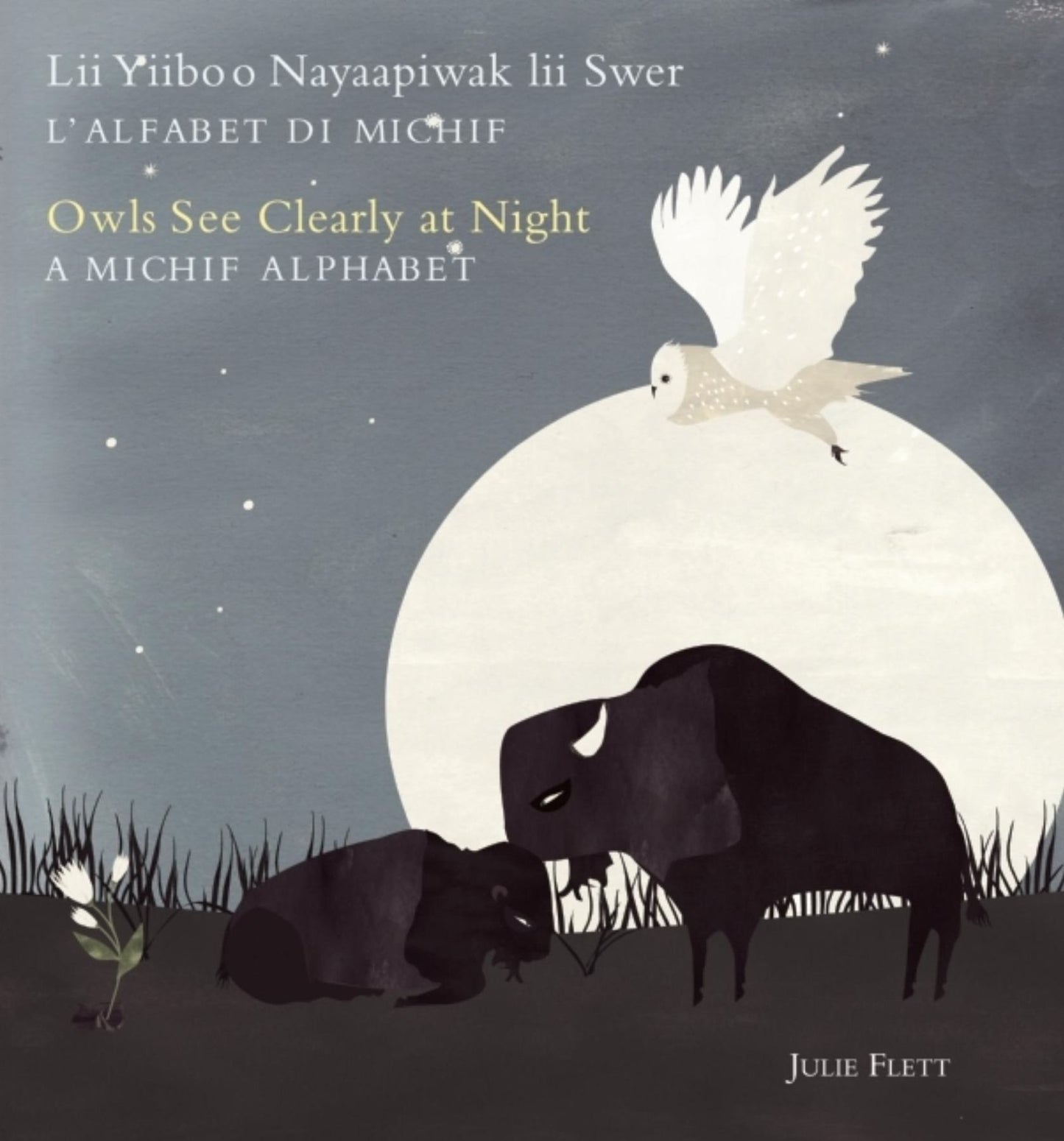 Owls See Clearly at Night (Lii Yiiboo Nayaapiwak lii Swer): A Michif Alphabet (L'alfabet di Michif)
